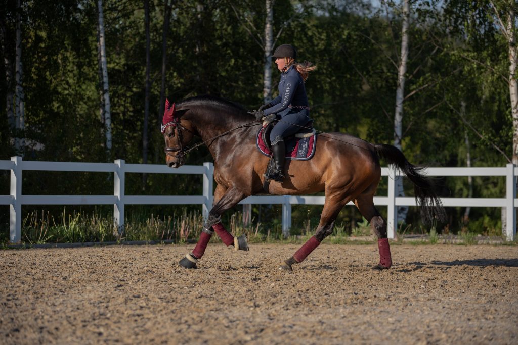 Galoppierendes Pferd fotografiert von Fotograf