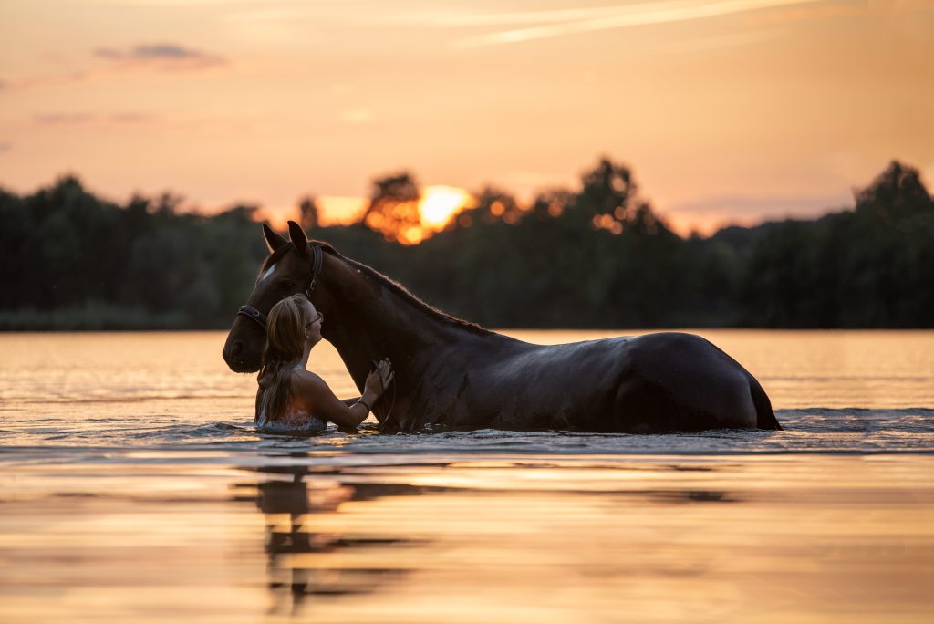 Pferd und Frau im See fotografiert von Fotograf